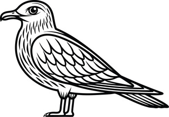 Tia Bird Illustration Set. Minimal Tia Bird Design. Tia Bird Outline Art. Colorful Tia Bird Graphics. Tia Bird Creative Elements. Elegant Tia Bird Collection. Tia Bird Line Art Pack. Modern Tia Bird