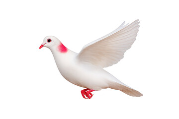 Fototapeta premium White dove with red feet and beak in mid flight, wings spread, isolated on transparent background, symbolizing peace, freedom, and purity, with soft feathers and gentle expression