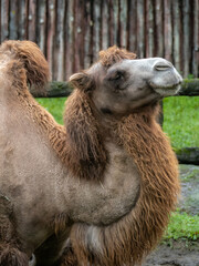 台北市立動物園