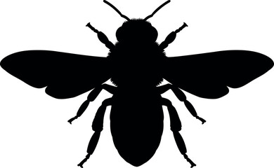 Black bee silhouette icon
