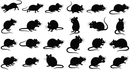 Collection of Mouse and Rat Silhouettes Rodent Poses Running Standing Eating Small Animals Pest Control Biology Science Laboratory Isolated Grey Background