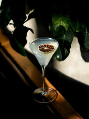 Cocktail in a glass with dried orange slice