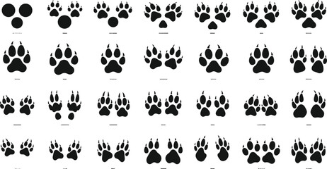Wildlife Animal Paw Prints Silhouette Collection Dog Wolf Canine Tracks Footprints Paces Steps Identification Tracking Nature Education Biology Isolated White Background