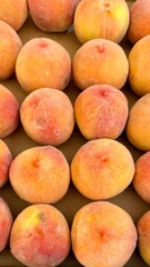 Fresh peaches being displayed for purchase.
