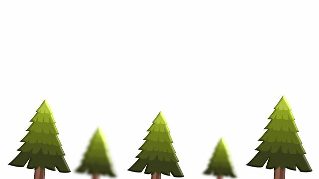 Pine trees growing on simple bright white background