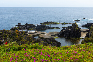 Blooming meadows and the natural baths in the ocean coast of Flores islands Azores, Portugal