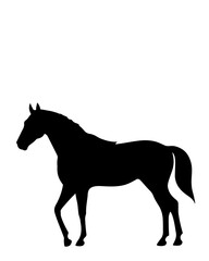 horse silhouette isolated on white horse, farm, donkey, running, art, animals, mustang, tail, outline, black, nature, illustration, animal, silhouette, mammal, equestrian, cartoon, mane, design, pet, 