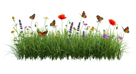 Spring flowers and grass with butterflies flying, isolated on white