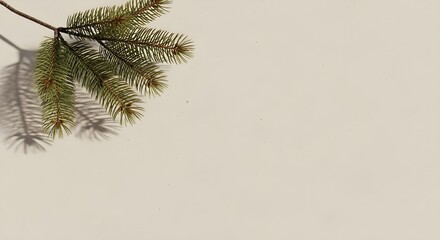 Neutral Beige Background + Minimal Pine Branches