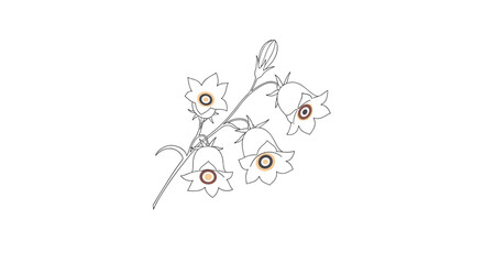 A minimalist line art illustration of bell-shaped flowers on a stem with a single bud, featuring subtle brown accents in their centers.
