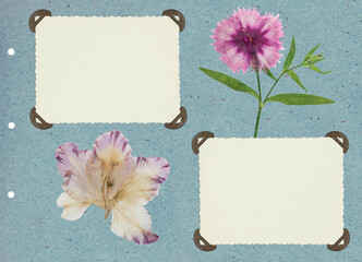 Photo album layout with empty photo frames and dried flowers. Page for stories. Scrapbook composition with floral element. Page from photo album. Pressed and dried flowers.