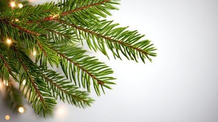 Obraz premium A close-up of green pine branches with soft, glowing lights, creating a festive and natural atmosphere, perfect for holiday decorations.
