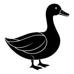 Black duck silhouette with white accents bird