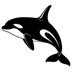 Black Orca Killer Whale Silhouette on White Background