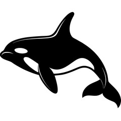 Black Orca Killer Whale Silhouette Isolated on White