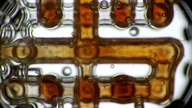 Fluid dynamics abstract macro shot with flow, bubbles and science concept.