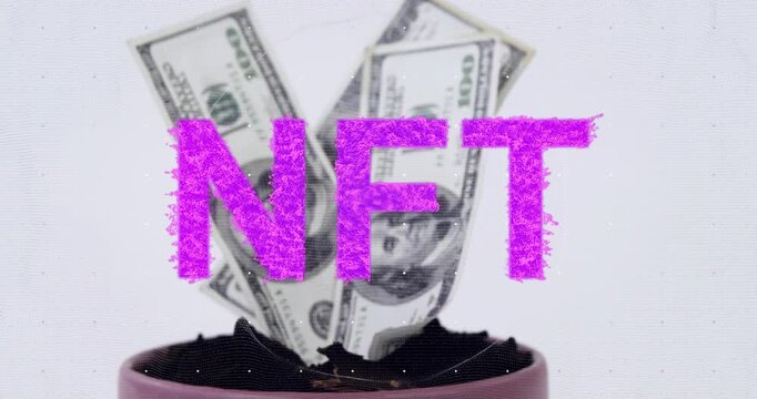 Animation start, three US dollar bills rising from pot soil to reveal tips beneath NFT overlay