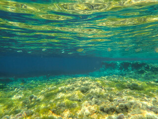 Ocean underwater rays of light background, under blue water sunlight. Underwater background, ocean or sea surface seen from under water. Rays of light beams, abstract marine backdrop. Nature landscape