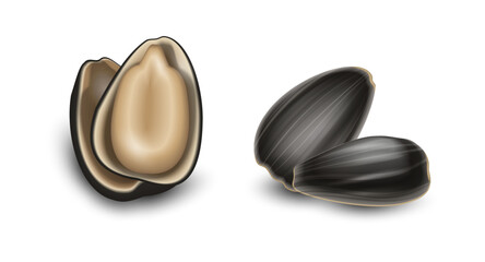 Sunflower seeds, whole and shelled on white background, close-up.