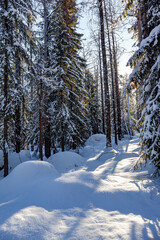 Lapland. Finland. Sunset.