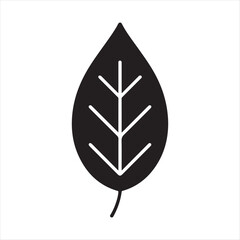 Black leaf silhouette with veins on white background for design elements
