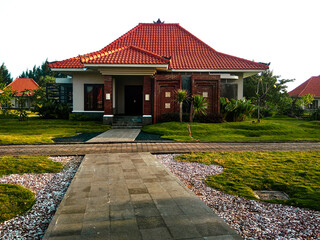 chinese garden in the park