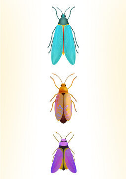 set of insects