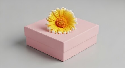 Elegant Flower on Pastel Box: Simple Gift Arrangement for Special Occasions and Artistic Designs.
