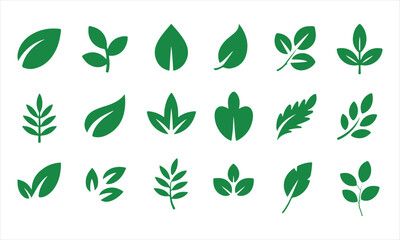 Collection of green leaf vector illustrations for eco and nature designs