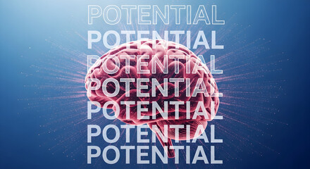 Human brain illustration with the word potential overlaid representing cognitive potential mental capacity and the power of the mind on a blue gradient background for concepts and ideas