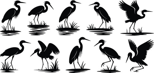 PrintA vector set of heron bird silhouettes, including flying, wading, and standing poses with marsh grass and water reflections, representing wetland nature and wildlife.