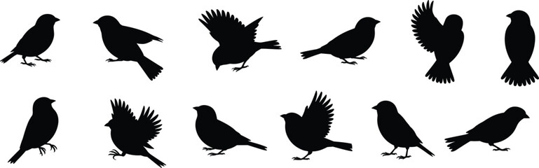 Obraz premium PrintA vector set of twelve detailed sparrow bird silhouettes in various dynamic poses including standing, taking flight, and chirping, illustrating wildlife and natural elements.
