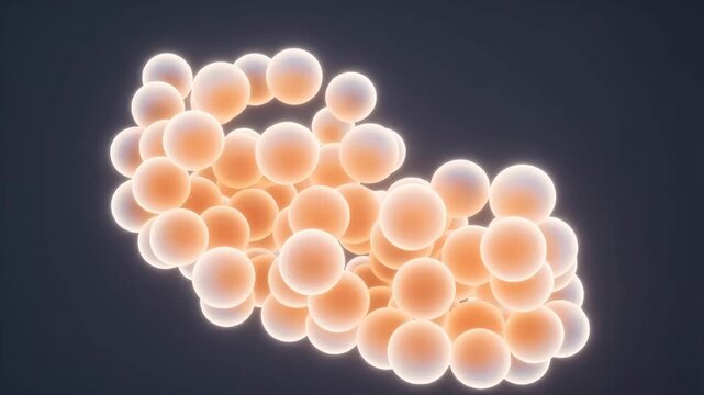 3D animation of morula stage embryonic cells compacting and rotating with warm glow, biological development footage