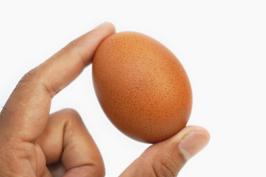 thumb and index finger of an Asian man holding a brown chicken egg, isolated on white background