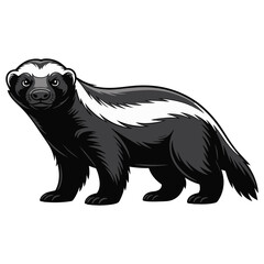 honey badger