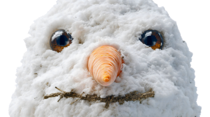 A close-up of a snowman head with a carrot nose, a cute winter holiday character face, a frosty Christmas decoration symbol, a happy snow figure portrait.