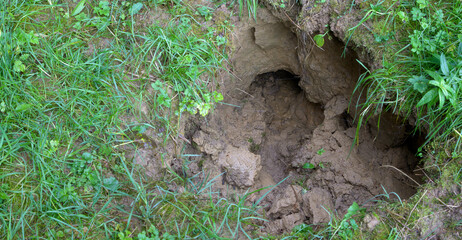After a heavy rainstorm, a deep hole has opened up in the field, crisscrossed by water channels...