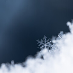 winter photo of snowflakes in the snow
