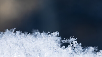 winter photo of snowflakes in the snow
