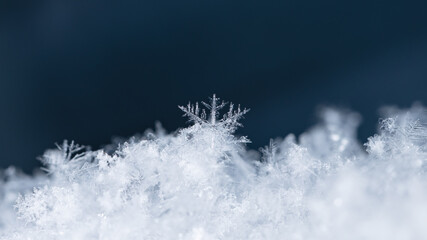 winter photo of snowflakes in the snow
