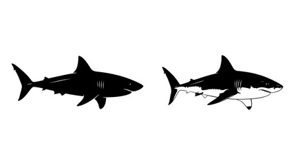 Digital illustration set of a great white shark in two styles, a bold silhouette and a detailed line art drawing, perfect for graphic design