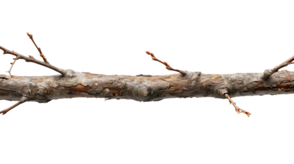 A dry wooden log, a rough tree branch piece, a textured bark object for design, a rustic nature stick, an old timber element close-up.