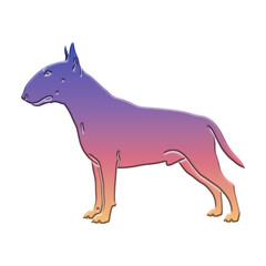 Gradient bull terrier standing isolated on transparent background, a colorful and modern design for pet lovers and animal enthusiasts