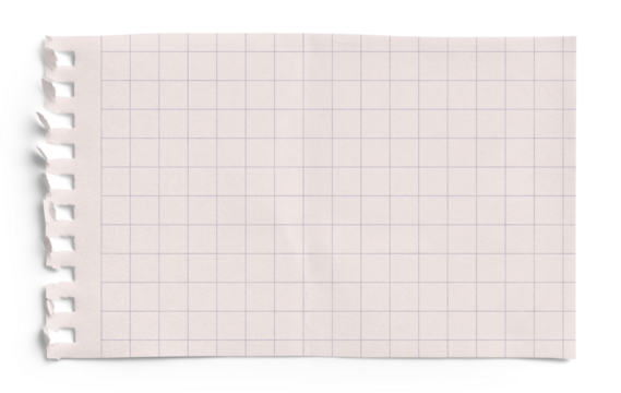 Small Notepad Folded Pink Page Grid