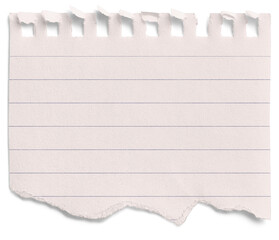 Small Notepad Half Pink Page Torn Lined