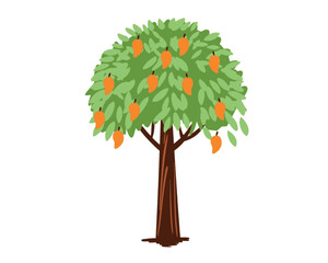 Vector Illustration of a Mango tree