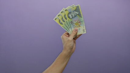 Hand of a caucasian man holding romanian leu banknotes against an isolated purple wall background.