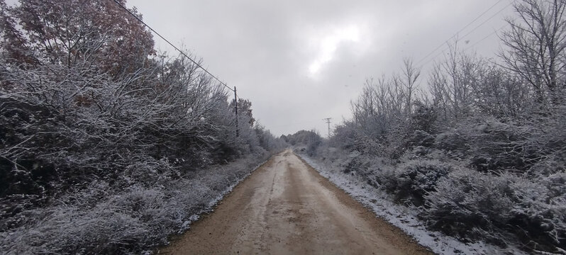 Camino de tierra rural bordeado de arbustos nevados y cielo nublado en Burgos, Espa&ntilde;a