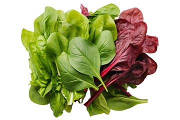 fresh green and red salad leaves isolated, mixed leafy greens on white background