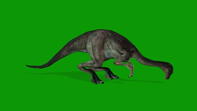 3D Dinosaur Animation Green Screen Video-Dinogall Eating Scene Right